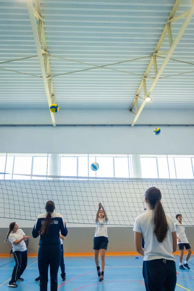 Voleibol